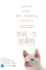 伴我一生感謝你