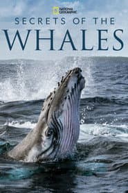 Secrets of the Whales