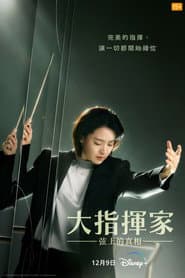 大指揮家：弦上的真相