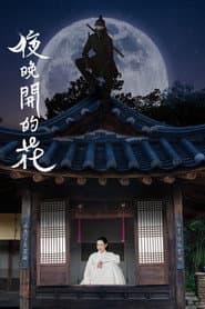 夜晚盛開的花