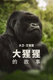 大衛艾登堡：大猩猩的故事
