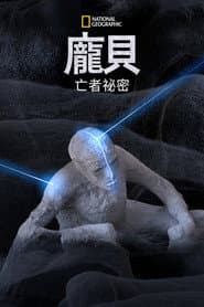 龐貝：亡者祕密