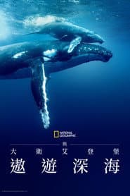 與大衛艾登堡遨遊深海