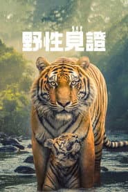 野性見證