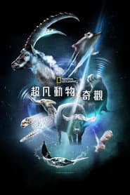超凡動物奇觀