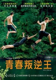青春叛逆王