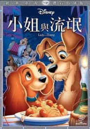 小姐與流氓