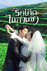 รักเกิดในสวนชา