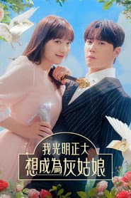 我光明正大想成為灰姑娘