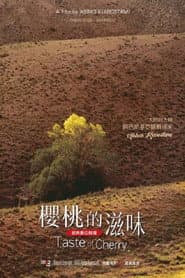 櫻桃的滋味