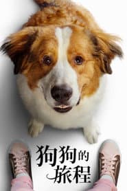 狗狗的旅程