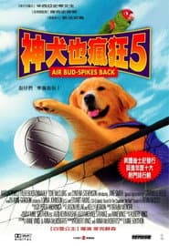神犬也瘋狂5