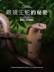 眼鏡王蛇的秘密