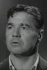 John Daheim