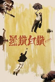 黑貓白貓