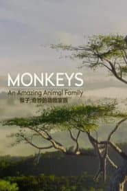 Monkeys: An Amazing Animal Family