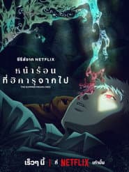 หน้าร้อนที่ฮิคารุจากไป