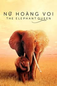 Nữ Hoàng Voi - The Elephant Queen