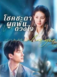 สามีแห่งชาติของฉัน