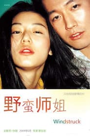 我的野蠻女友2：蠻風再現