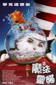 魔法靈貓