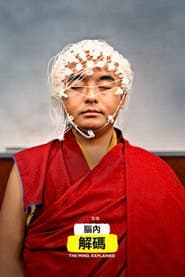 腦內解碼