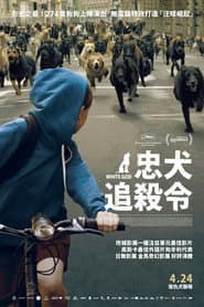 忠犬追殺令