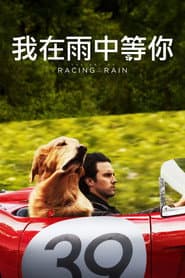 我在雨中等你