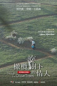 橄欖樹下的情人