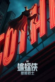 蝙蝠俠披風戰士