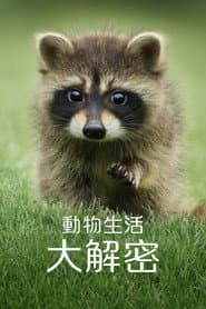 動物生活大解密