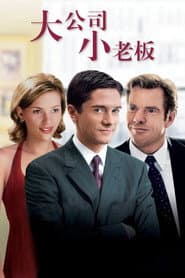 大公司小老闆