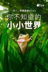 你不知道的小小世界