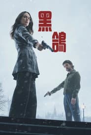 黑鴿
