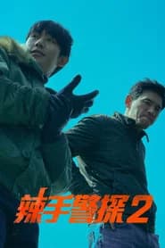 辣手警探2