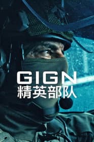 GIGN 特勤小隊