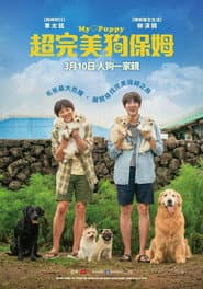 超完美狗保姆
