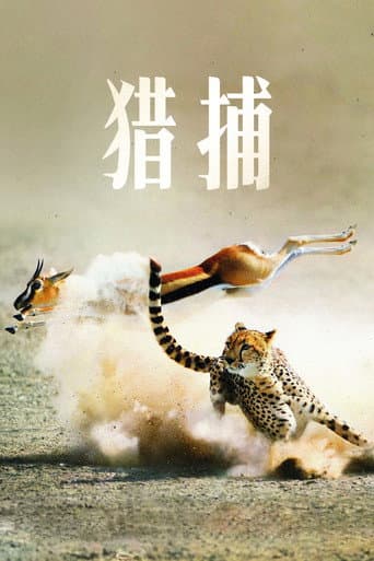 掠食獵戰