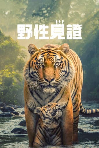 野性見證