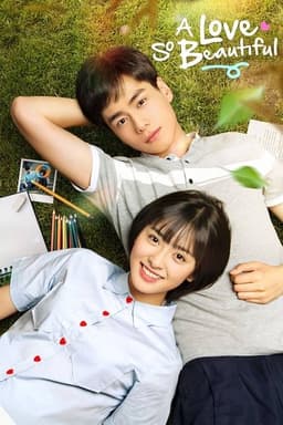 Poster for A Love So Beautiful from 20 Chinese Cold Male Lead Series to Watch