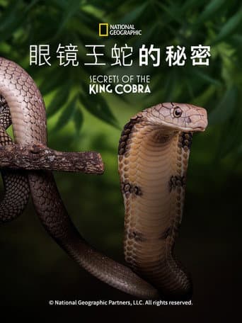 眼鏡王蛇的秘密