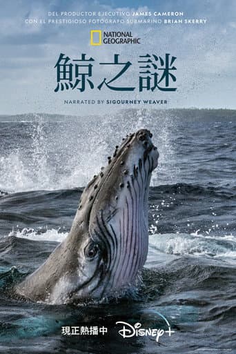 鯨之謎