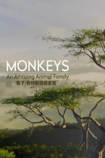Monkeys: An Amazing Animal Family