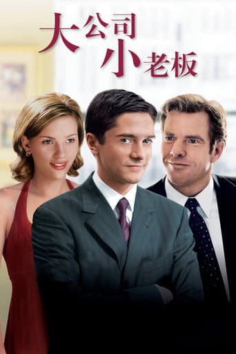 大公司小老闆