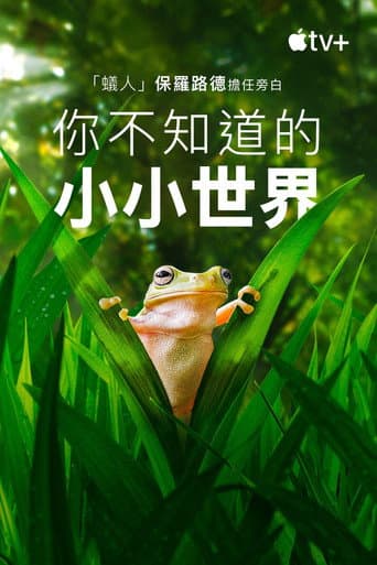 你不知道的小小世界
