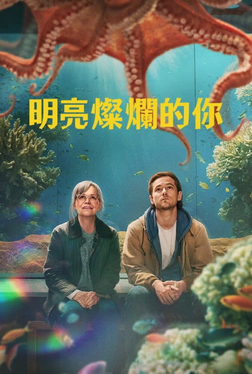 明亮燦爛的你