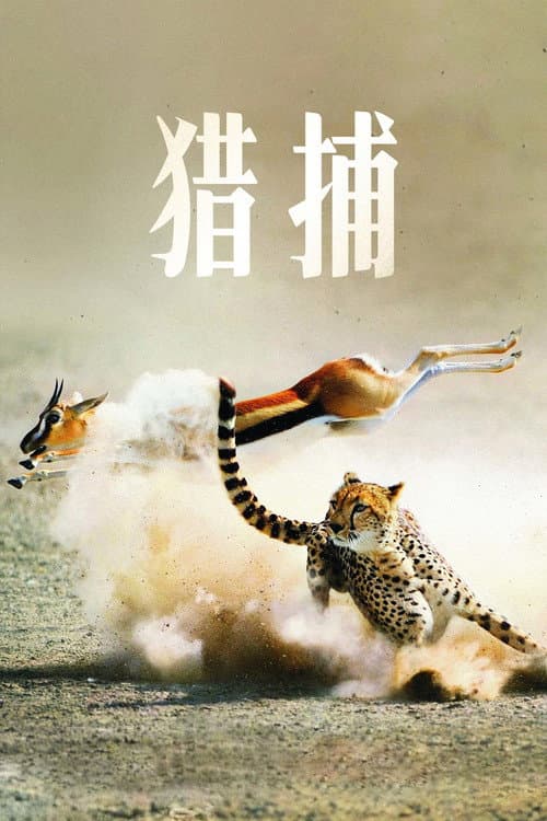 掠食獵戰