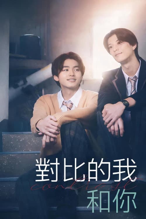 對比的我和你