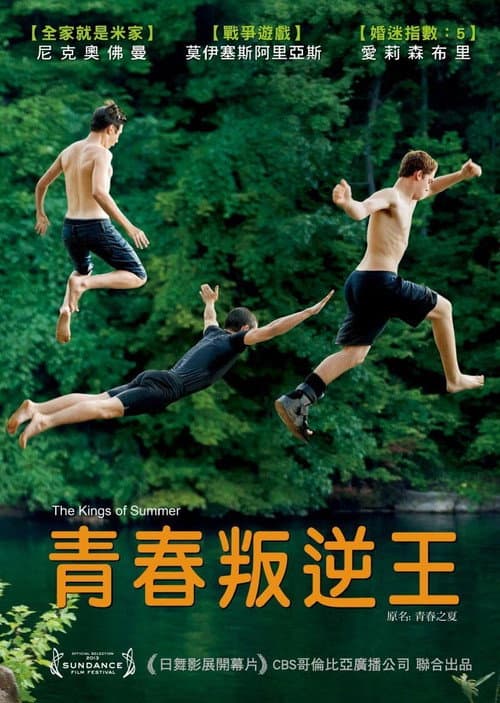 青春叛逆王