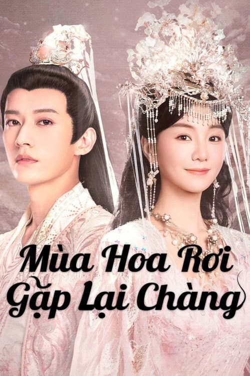 Yêu Không Bao Giờ Thất Bại